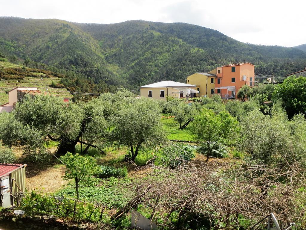 Creuza De 5 Terre Villa Volastra Exterior foto